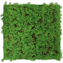 JANGAL Wandpaneel Modular Wall 52 x 52 cm thuja tea tree