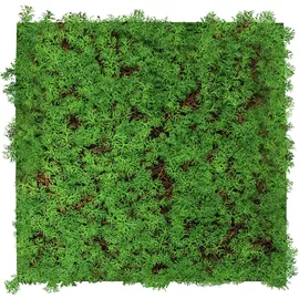 JANGAL Wandpaneel Modular Wall 52 x 52 cm thuja tea tree