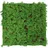 52 x 52 cm thuja tea tree