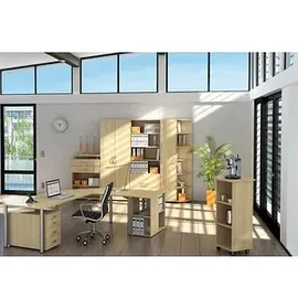 Geramöbel Flex Aktenregal 80 x 40 x 75,2 cm ahorn
