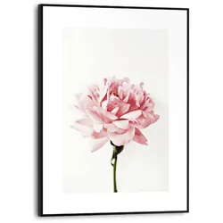 Reinders Wandbild 30 x 40 cm Pink Rose Holz Rosa