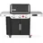 EX-335 Smarter Gasgrill 2022 Schwarz
