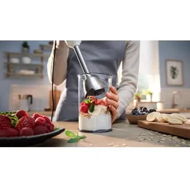 Bosch ErgoMaster Serie 4 MSM4W210 Stabmixer