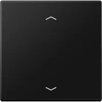 Jung Funk-Wandsender 2-Kanal ENO LS 990 P SWM