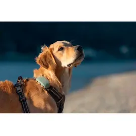 tractive GPS Tracker Hund XL wasserdicht grün