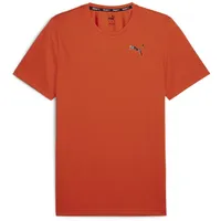 Puma Train FAV Blaster Tee Redmazing, L