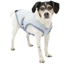 PetSafe Kühlweste für Hunde Größe S