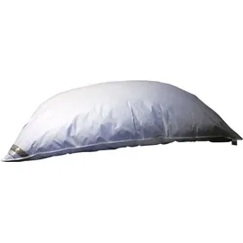Betten Hofmann Bella Star Oberbett Federbett Ballonbett Winterbett 155x220 cm 3000 g warm