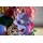 LEGO Botanicals Blumen an der Wand 11503