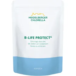 B-Life Protect Kapseln mit aktivem Vitamin B6