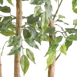 CREATIV green künstliche Pflanze Ficus Benjamina Raumteiler 160cm