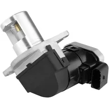 BorgWarner (Wahler) Borgwarner AGR-Ventil elektrisch, mit Dichtung