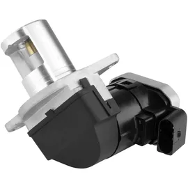 BorgWarner (Wahler) Borgwarner AGR-Ventil elektrisch, mit Dichtung