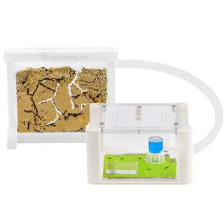 AntHouse - Natürliche Ameisenfarm aus Sand | 3D Basic Set (Sandwich + Futterbox) Weiß | Inklusive Ameisen