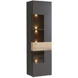 Forte Como grau (grau, eichefarben), B:60,4cm H:203,3cm T:41,3cm, Holzwerkstoff, Schränke, Vitrine, Vitrine, Glastüre, LED Beleuchtung, Soft Close Linksanschlag