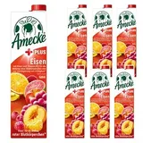 Amecke + Eisen Fruchtsaftkonzentrat 6x 1,0 l