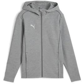 Puma teamFINAL Casuals Kapuzenjacke Herren 33 medium gray heather/silver M