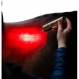 Horseware Ireland Therapiestab für LED-Rotlicht-Therapie Copper Onesize