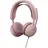 MS Rosa 981-001616