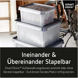 SmartStore ORTHEX SmartStore Dry 31