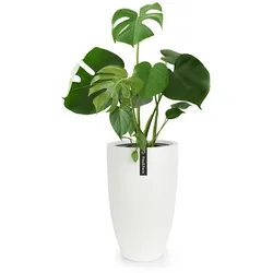 Almere Blumentopf Faserstein pflanzenfreundlich handgemacht konischWeiß, matt