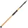 Daiwa Megaforce Tele 2,70m 20-60g Allroundrute