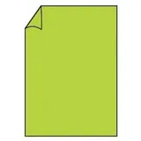 RÖSSLER Briefbogen Paperado A4 100g maigrün 16400122 210x297mm gerippt