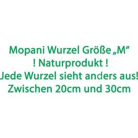 Deggelbam Aquariendeko Mopani Wurzel Größe M