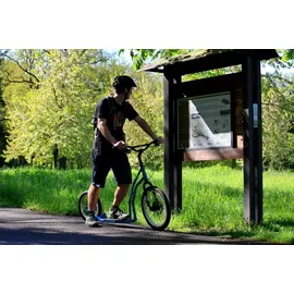 Yedoo Scooter Yedoo Four Tretroller mit Luftreifen 20/16 und Scheibenbremsen Blau Blau