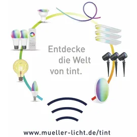 Müller-Licht tint Fernbedienung Remote Control