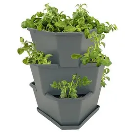 Gusta Garden Paul Potato Starter 3 Etagen