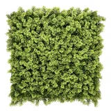 hjh living Pflanzenmatte /-wand / Vertikaler Garten LEAFLUXE 3 50x50cm grün hjh LIVING