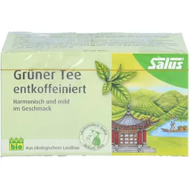 SALUS Grüner Tee Teebeutel 15 St.