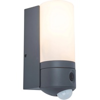Lutec Smarte LED-Leuchte »POLLUX«, Smart-Home Kameraleuchte, grau