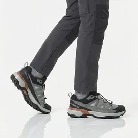 Salomon X Ultra 360 Leather Gore-tex® Wanderschuhe - Wrought Iron / Sedona Sage / Sierra - EU 44