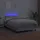 vidaXL Boxspringbett 120 x 200 cm Weiß