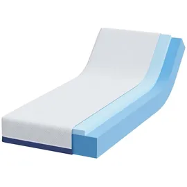 vidaXL Gelschaum 80 x 200 cm H3