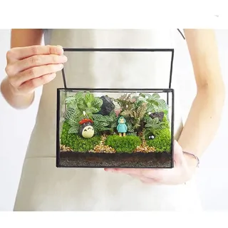 Kleine Pflanzen Terrarium mit Deckel, rechteckig, Tischplatte, Glas, Terrarium, geometrisch, klar, Pflanzgefäß, kleines Moos, Terrarium-Box für Schreibtisch, Tischplatte, 17 x 9,9 x 11,9 cm