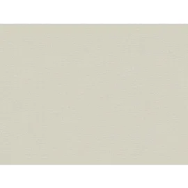 A.S. Création Vliestapete Greenery Uni strukturiert Beige FSC®