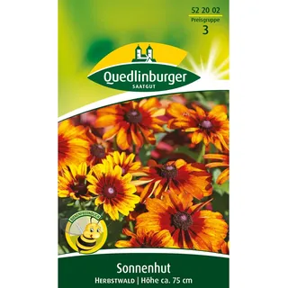 Quedlinburger Sonnenhut ''Herbstwald''