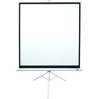 Elite Screens Beamer Leinwand, Weiss