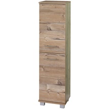 Schildmeyer Highboard Isola Holzoptik Silberfichte