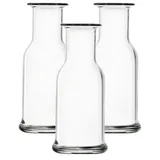 Stölzle Lausitz Purity Karaffe 0,25 l 3er Set