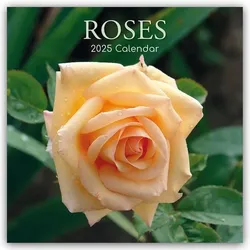 Roses – Rosen 2025 – 16-Monatskalender