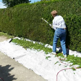 ECD Germany Abdeckplane Gewebeplane 3x5 m weiß