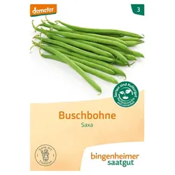 Bingenheimer Saatgut Buschbohne Saxa