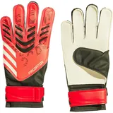 adidas Predator Pro Torwarthandschuhe - Lucid Red / Black / Pure Ruby - 10 1/2