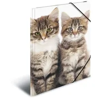 Herma Sammelmappe Tiere A4 katzen