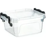 Kadax Aufbewahrungsbox mit Deckel, Robuster Plastikbehälter aus Kunststoff, Lunchbox, Transparente Frischhaltedose, Vesperdose mit Klickverschluss (0,35L)
