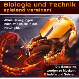 DS PRODUKTE cbionic Flexibles Klemmbaustein-System 2-in-1 Skorpionschere 128-tlg.
